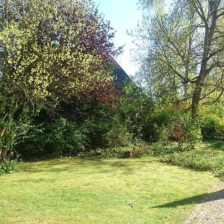 Sonniges Haeuschen Mit Garten Braunschweig Luaran gambar