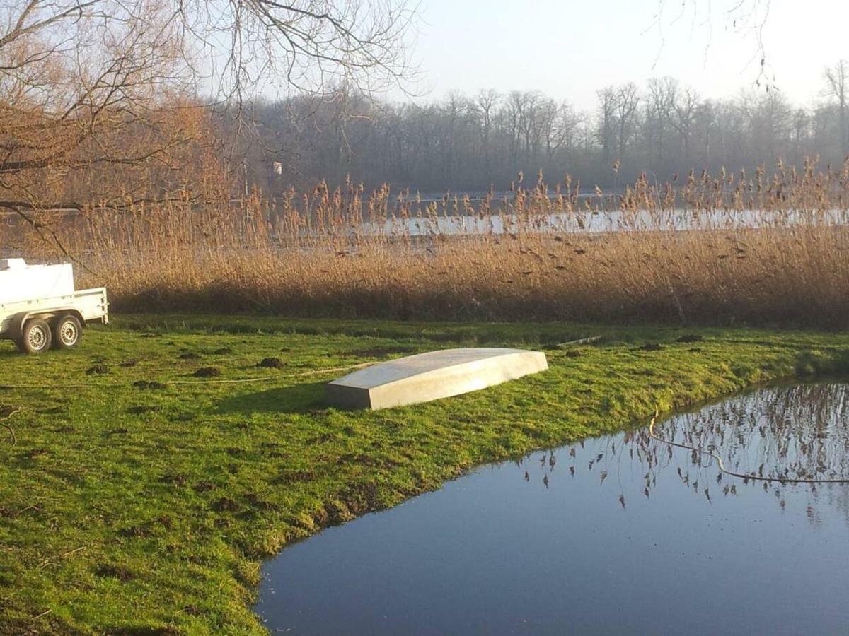 Sonniges Haeuschen Mit Garten Braunschweig Luaran gambar