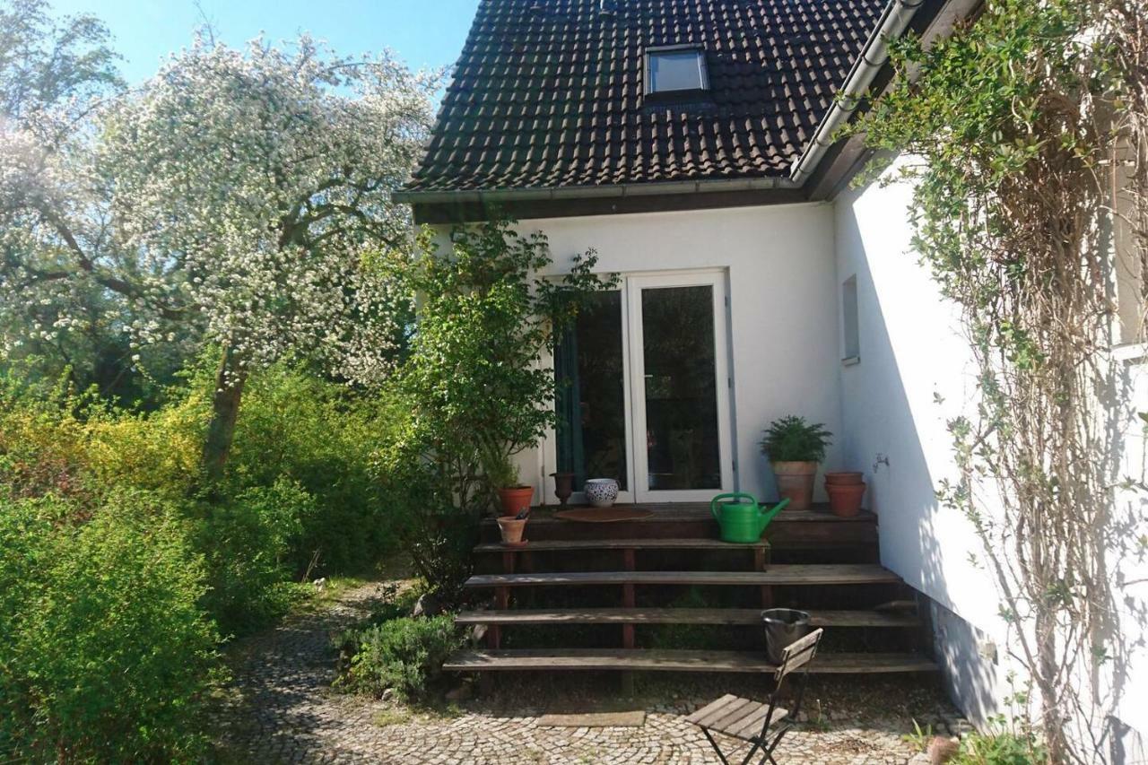 Sonniges Haeuschen Mit Garten Braunschweig Luaran gambar